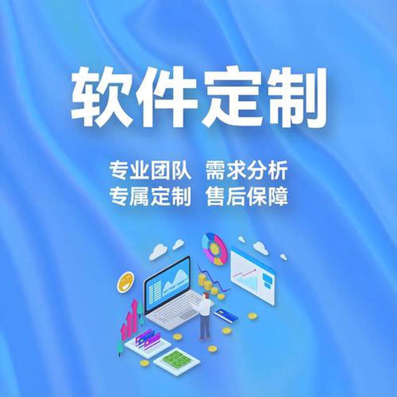广西软件开发行业的风向标